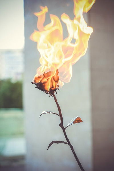 Сергей Чачилло