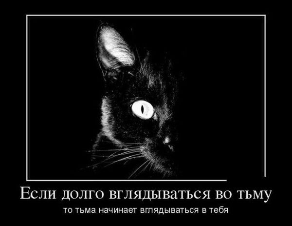 Дмитрий Николаевич Базин