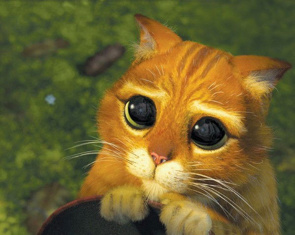 Сергей Федотов