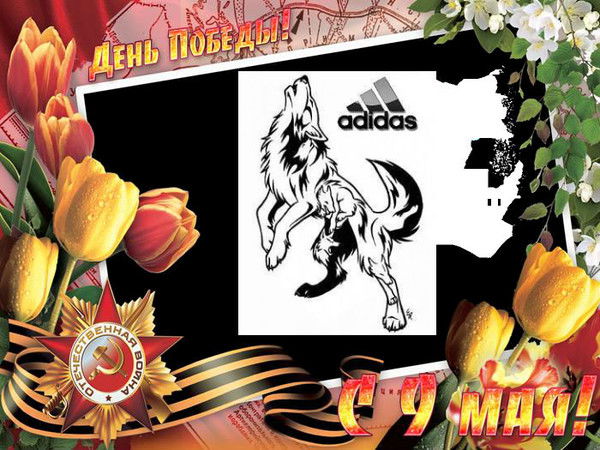 Кирилл Черных