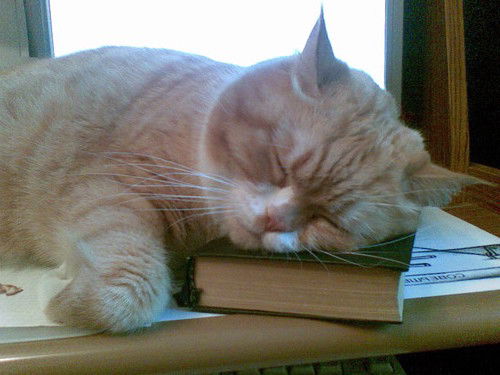 Инна Одерова