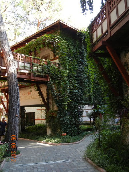 Михаил Борисов