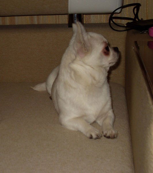 Инна Мищенко