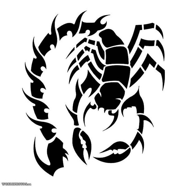 Витек Крупнов