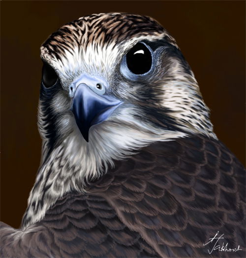 Вячеслав Соколенко