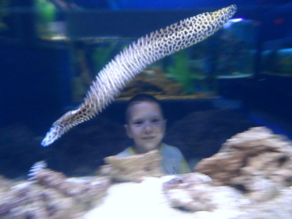 Марина Поляничко