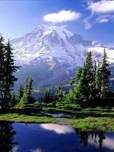 .юра Стрельцов