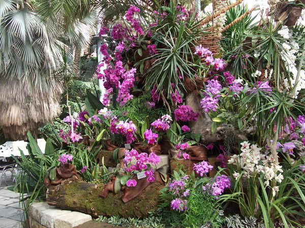 Татьяна Горбунова