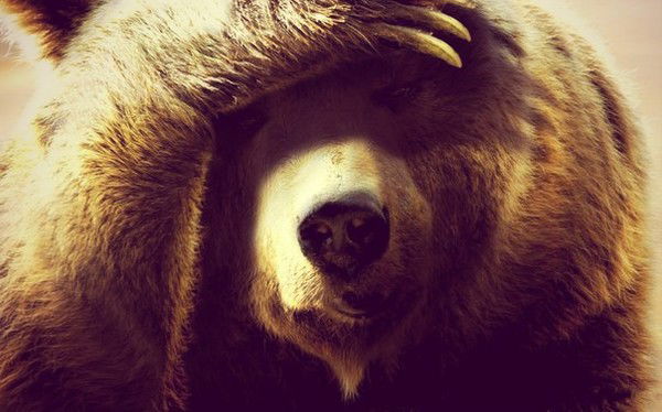 Дмитрий Морозов