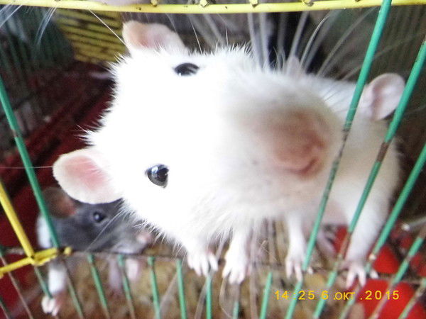 ❋ Влада ❋ Евгеньевна❋