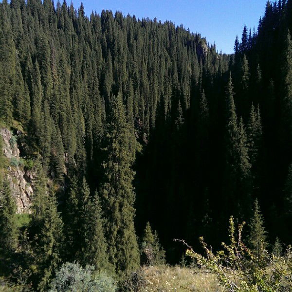 Григорий Подымский