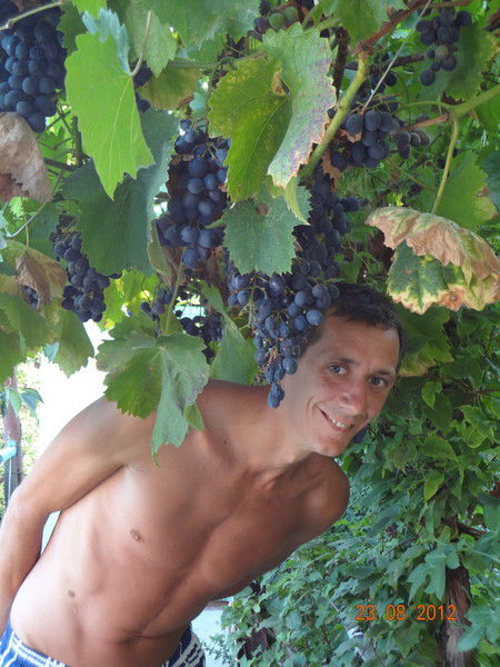 Евгений Шинкарев