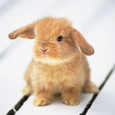 Лиза Слесарева