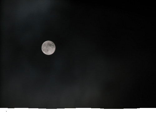 Жанна Красова