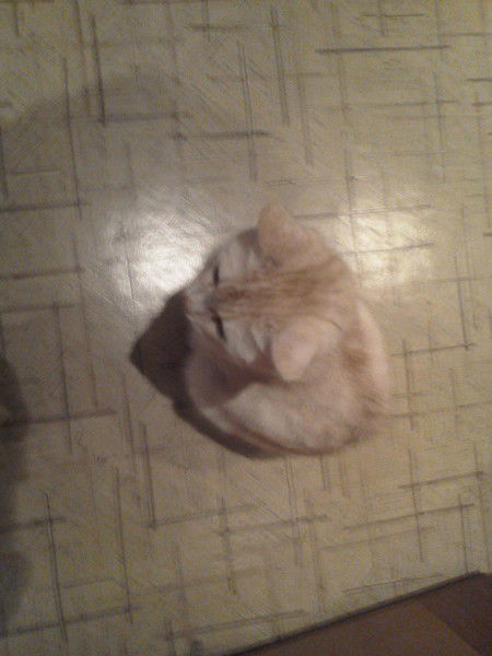 Наталья Ягодникова