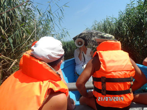 Карифей Про