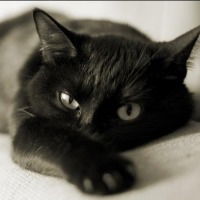 Пётр Васильев