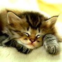 Алена Лащук