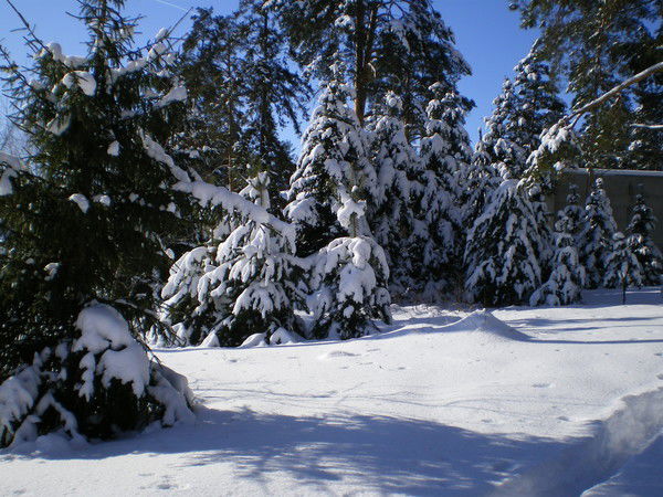Айсылу Мухарлямова