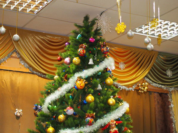 Светлана Макарова