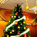 Светлана Макарова