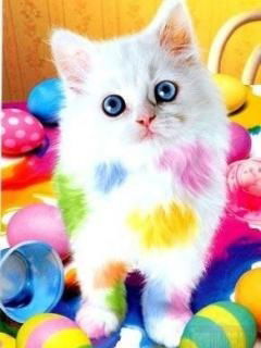 Милисса Царикова