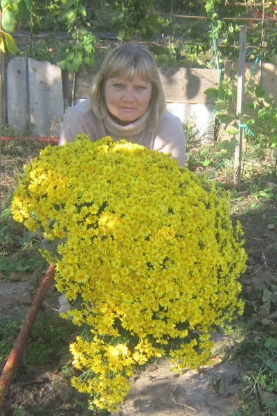 Наталья Ганина