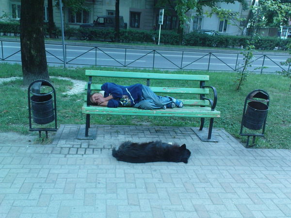 Светлана Пиревердиева