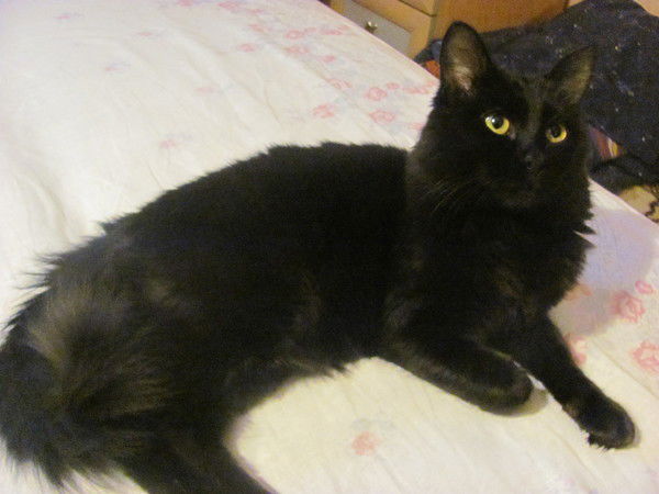 Екатерина Сергеева