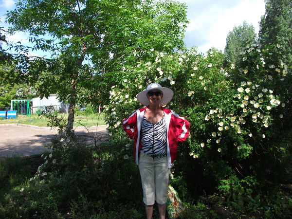 Надежда Нагорнова