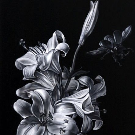 Наташка Галюга