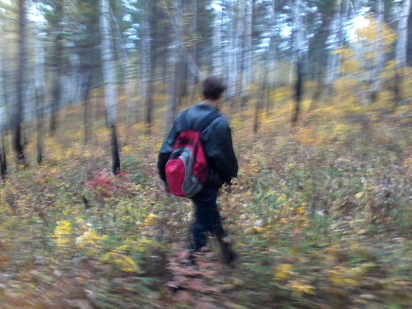 Последний Тамплиер