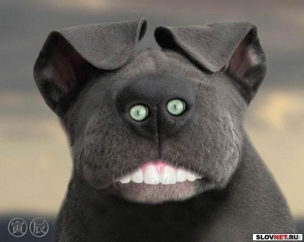 Сергей Хрусталев