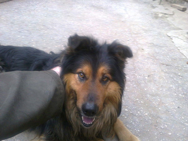 Евгений Половинкин