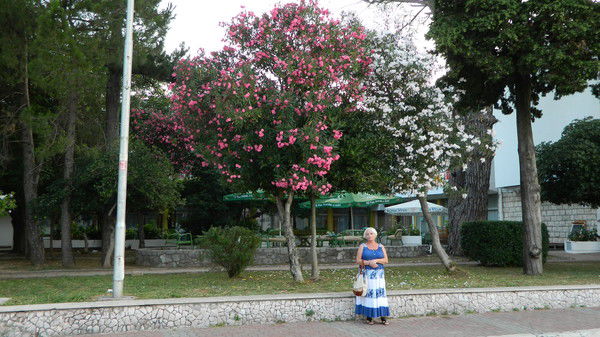 Лариса Демчич