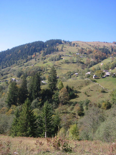 Шилова Юлия