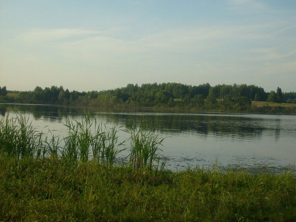 Сергей Целищев