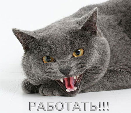 Сергей Катержин