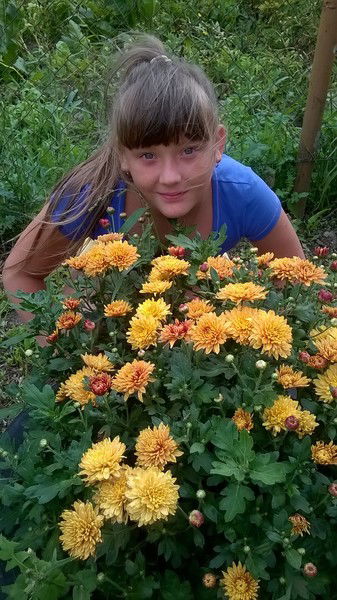 Ксения Смирнова