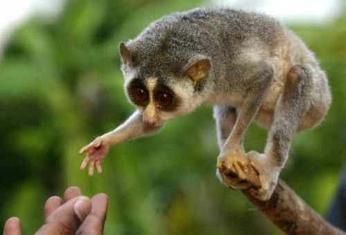 Андрей Солодушкин