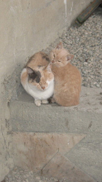 Таисия Сапогова