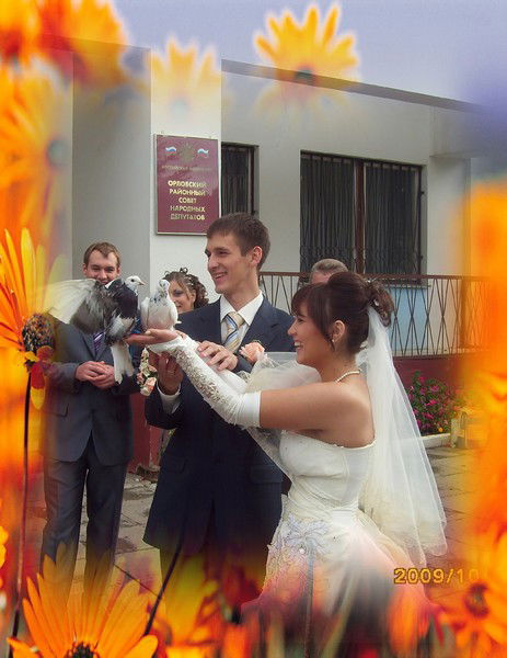 Анна Анисимова