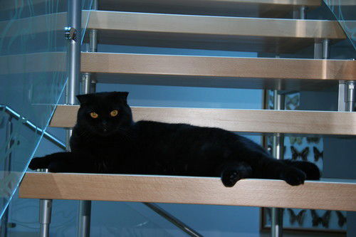 Дмитрий Мищенко