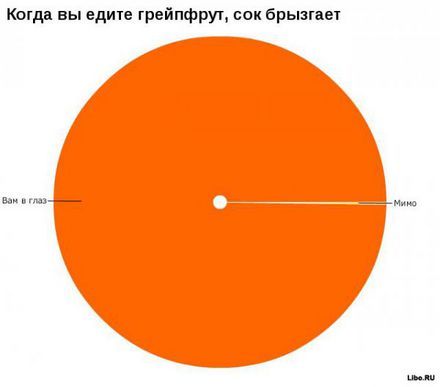 Полина Галковская