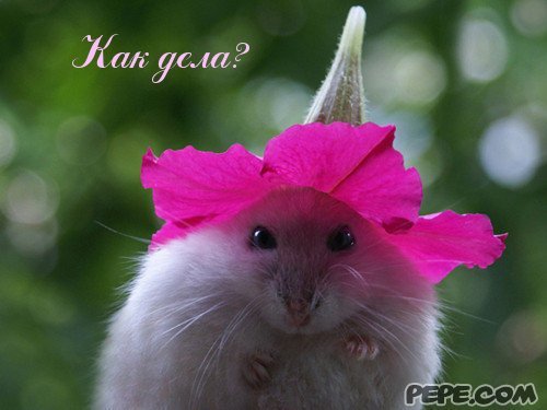 Татьяна Иванова