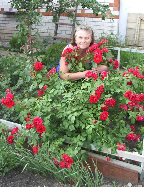 Ольга Захарова