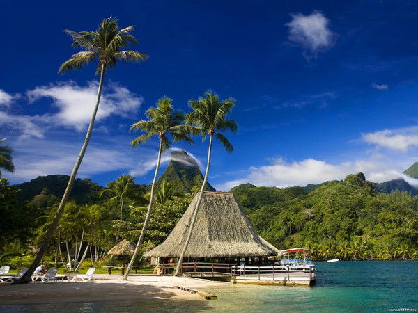 Сорокина Светлана