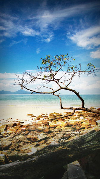 Татьяна Ковшик