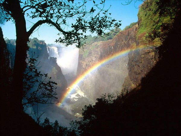 Елена Кислова(Максимова)