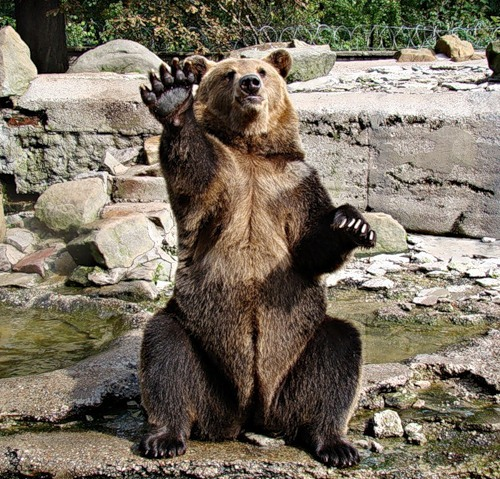 Гаджи Махмудов